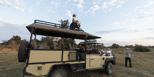 a safari vehicle with two people on top of it looking out at the view with the bush in the background