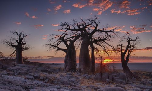 Sunset with baobabs