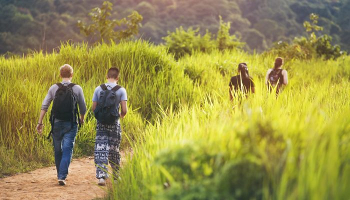 Group of friends walking with backpacks whilst on a bush walk in lush green vegetation