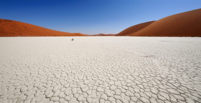 Landscape of Deadvlei pans in Namibia with brown dunes in background.