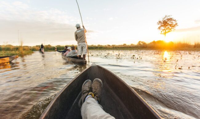 Botswana local polers take travelers through Okavango Delta waterways in mokoro dug-out canoe.