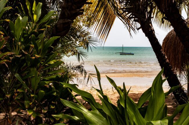 Tropical beach of Mozambique taken behind trees