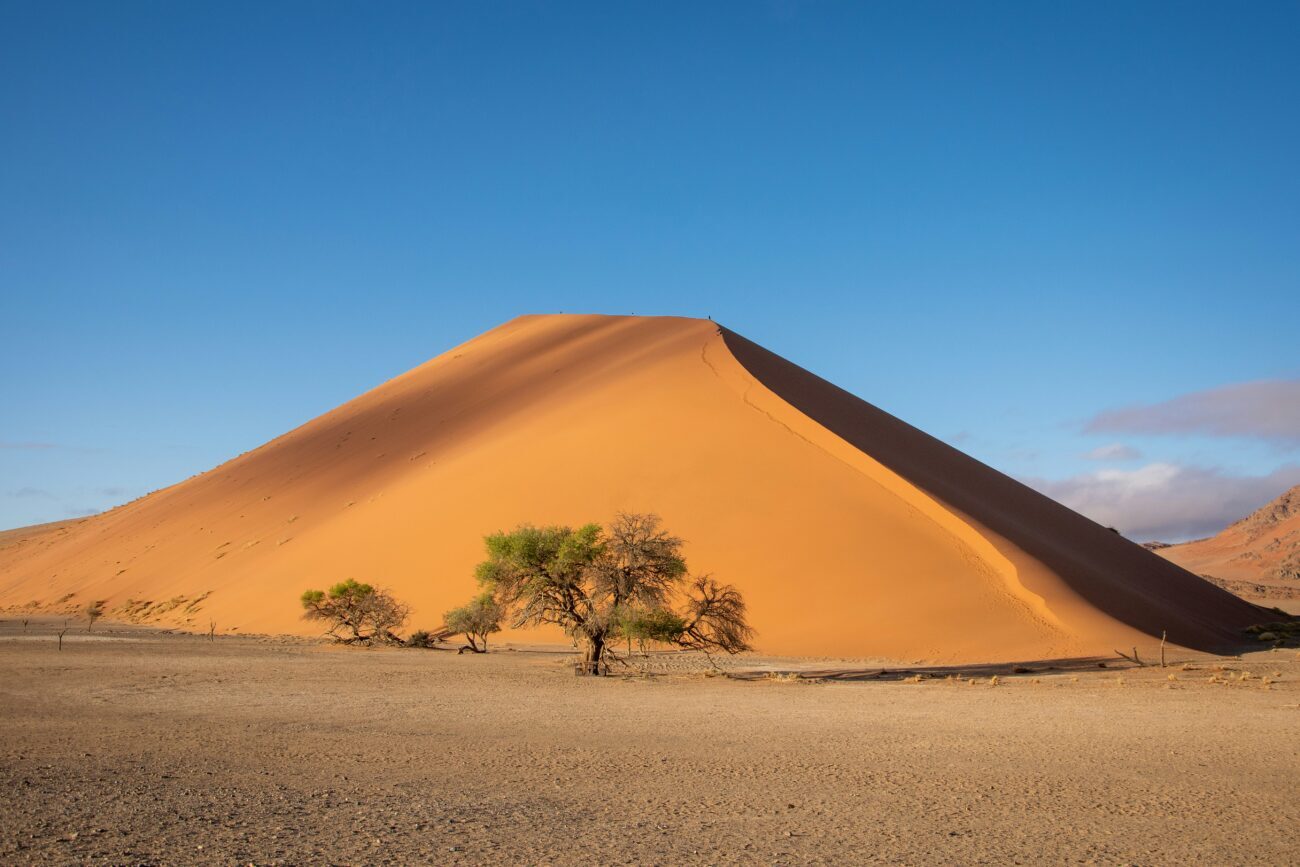 wide angle image of a dune in namibia with a tree in front of it