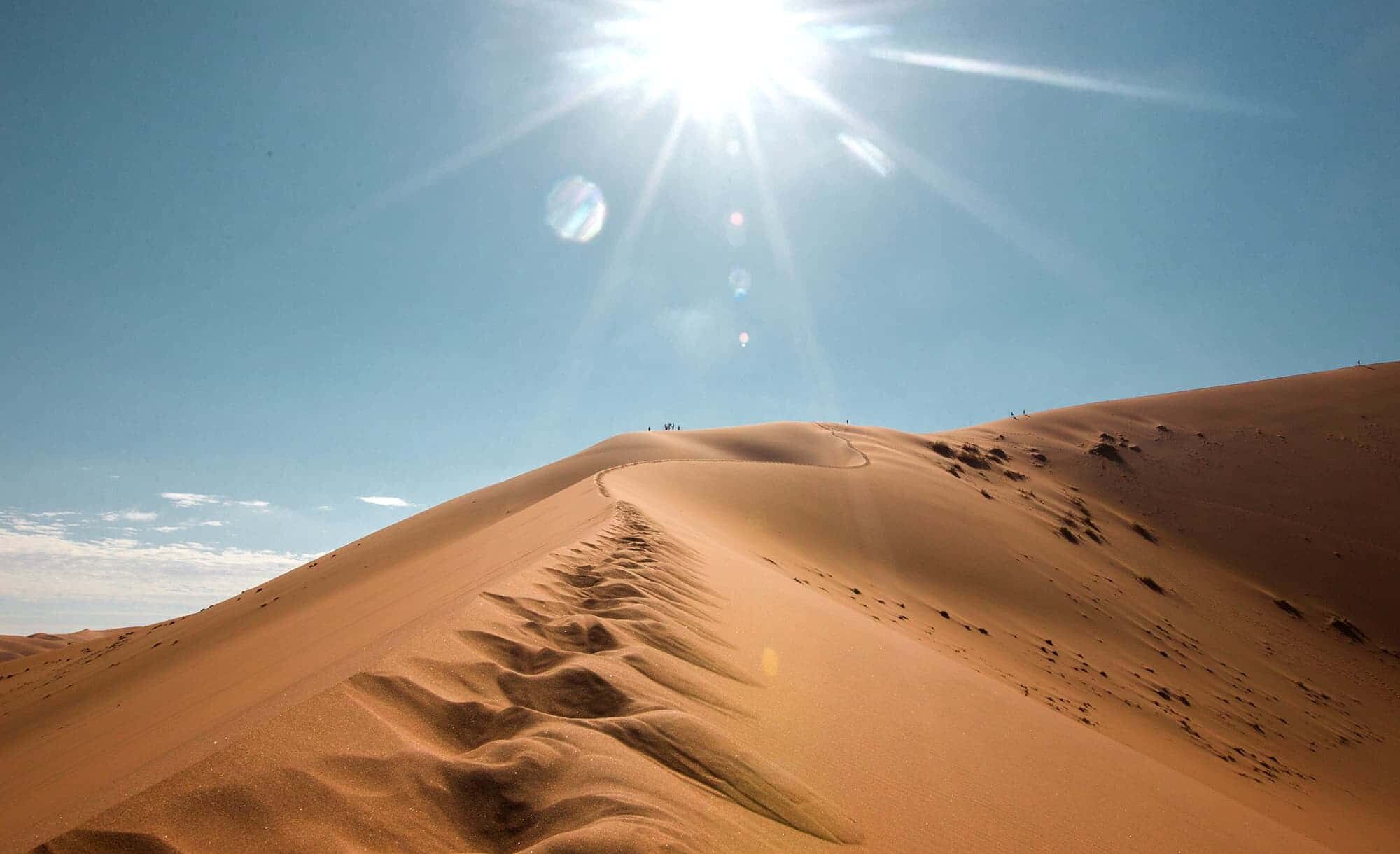 dune with the sun shinning bright