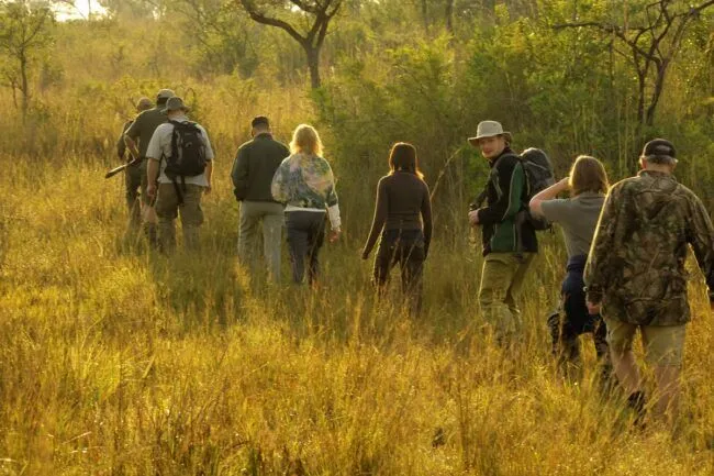 Travelers on bush walk