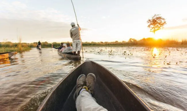 Botswana local polers take travelers through Okavango Delta waterways in mokoro dug-out canoe.