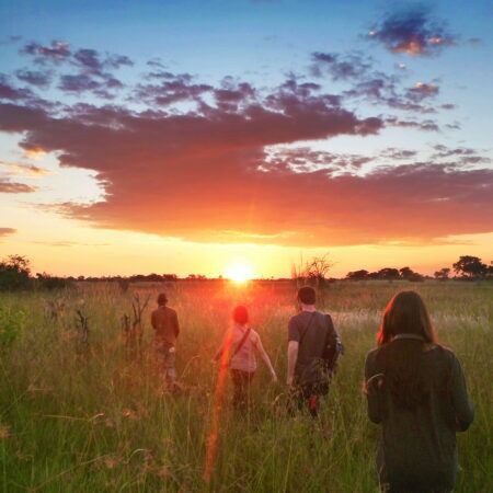Okavango Delta bush walk sunset