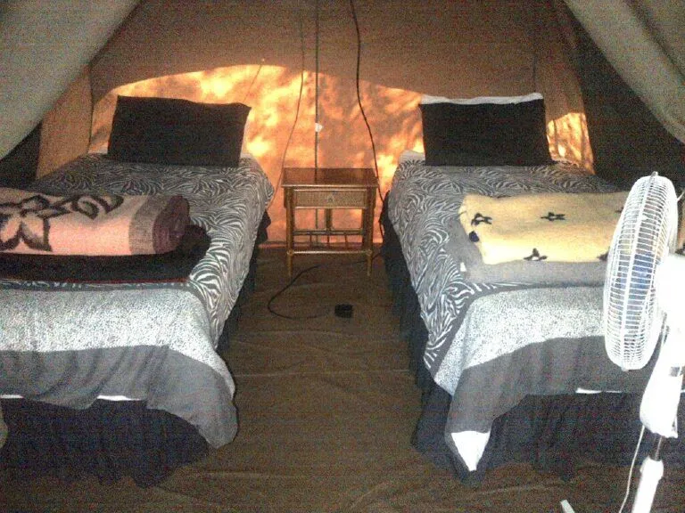 inside of a permanent tent with twin beds and a fan
