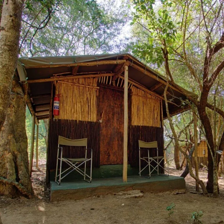 outside view of a permanent tent with two camp chairs