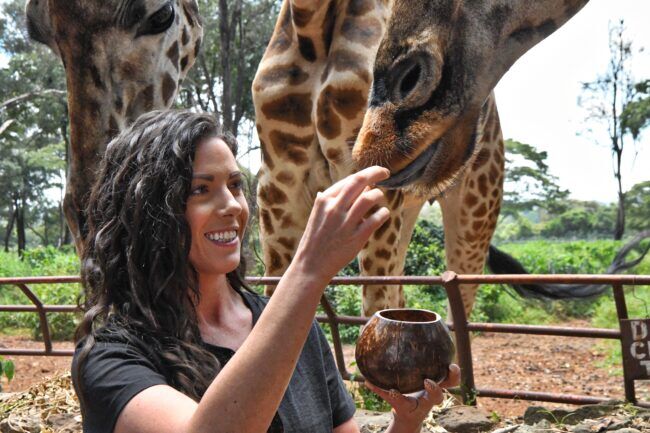 close up of a woman hand feeding a giraffe with food out of a coconut bowl