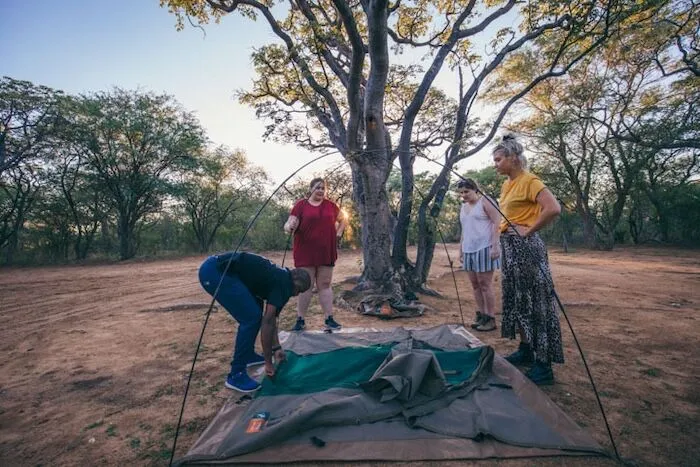 Four people setting up poles of a canvas tent under a tree.