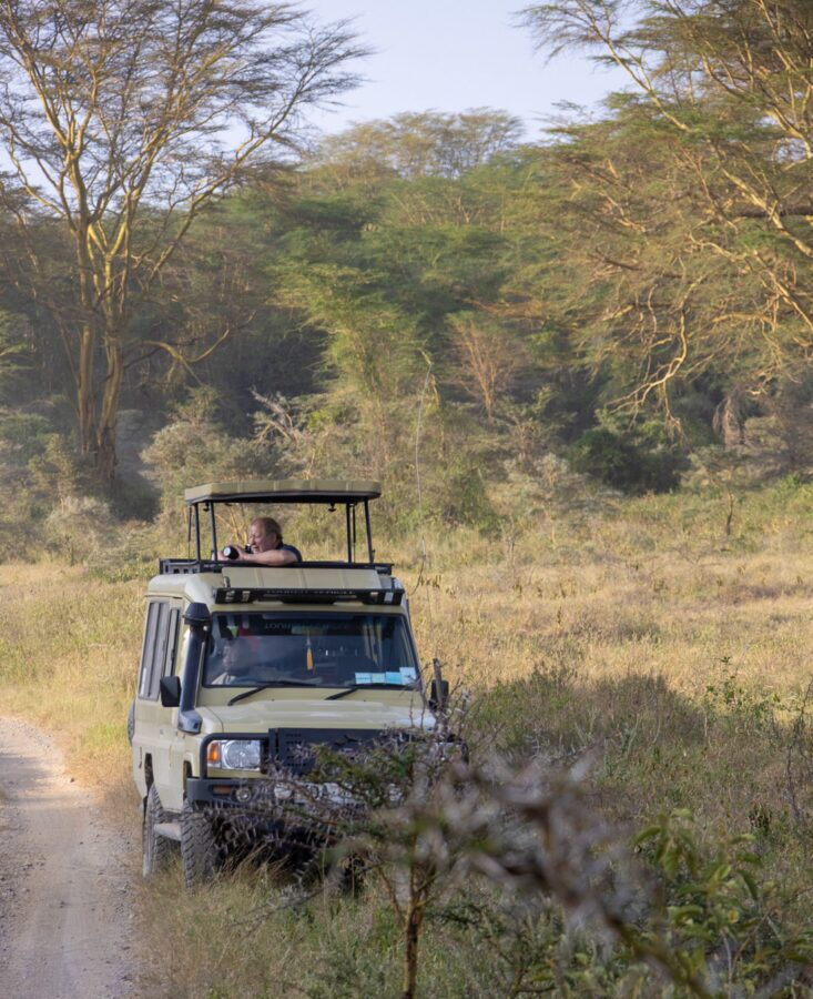 a person standing in a safari vehicle with his camera out