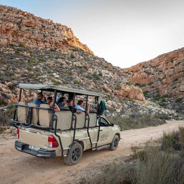 the back of a safari vehicle filled with tourists driving in a mountainous area
