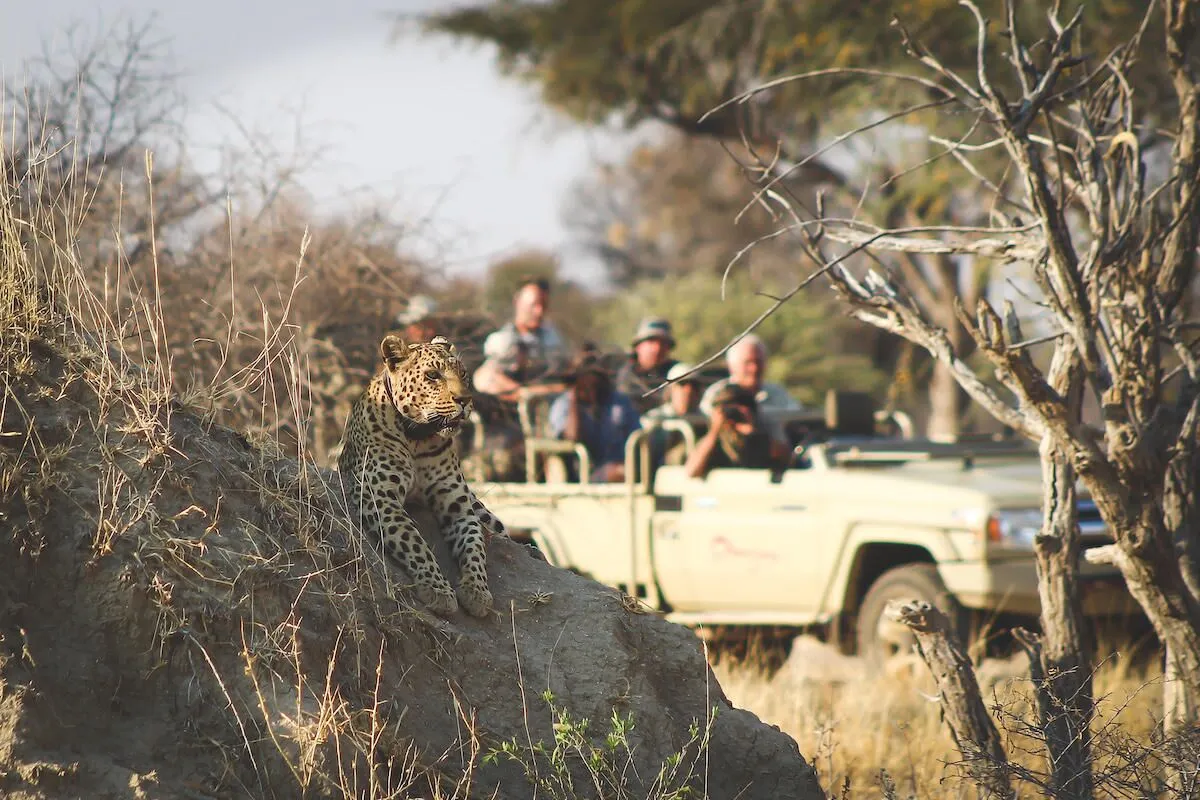 tourists sitting in a safari vehicle