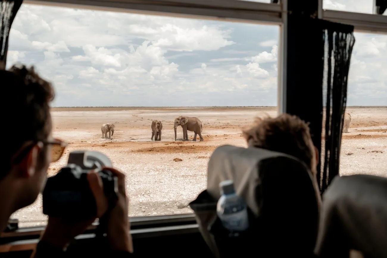 people taking photos of elephants on the plains in etosha