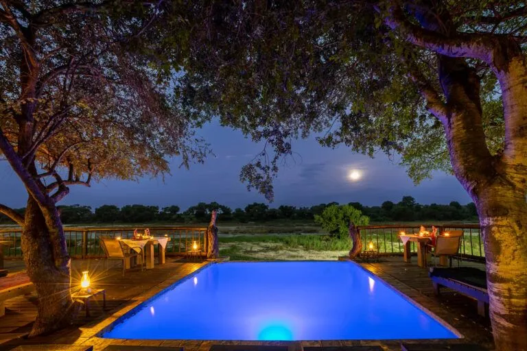 view of patio pool with the bush and moon as a backdrop