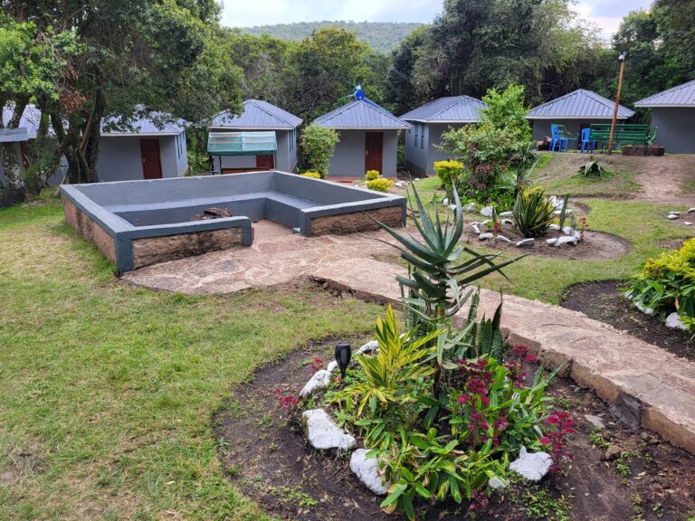 garden outside with an open boma