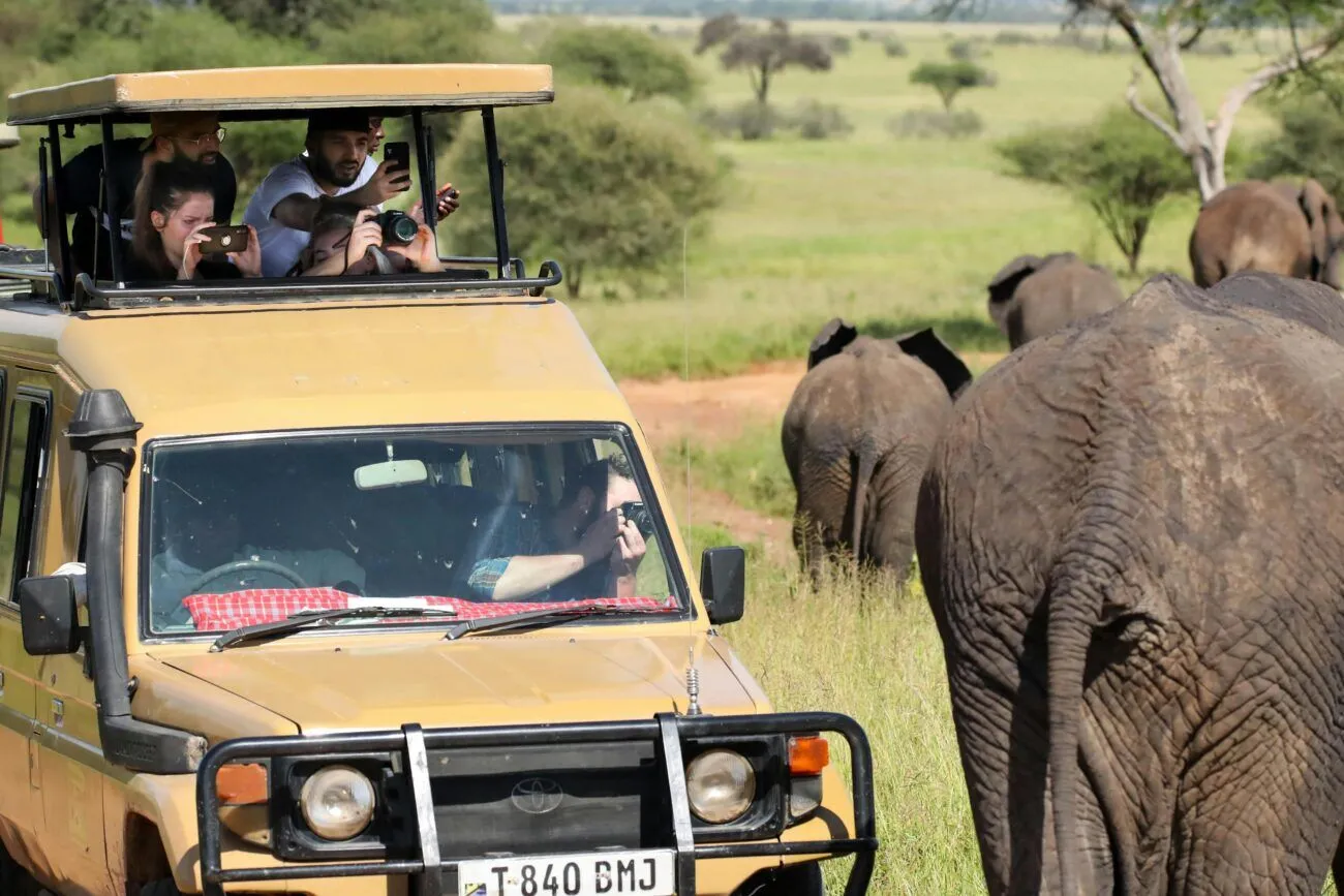 group of people in a tour vehicle photographing close by elephants