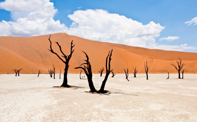 Deadvlei pans with dead trees in front of desert dune