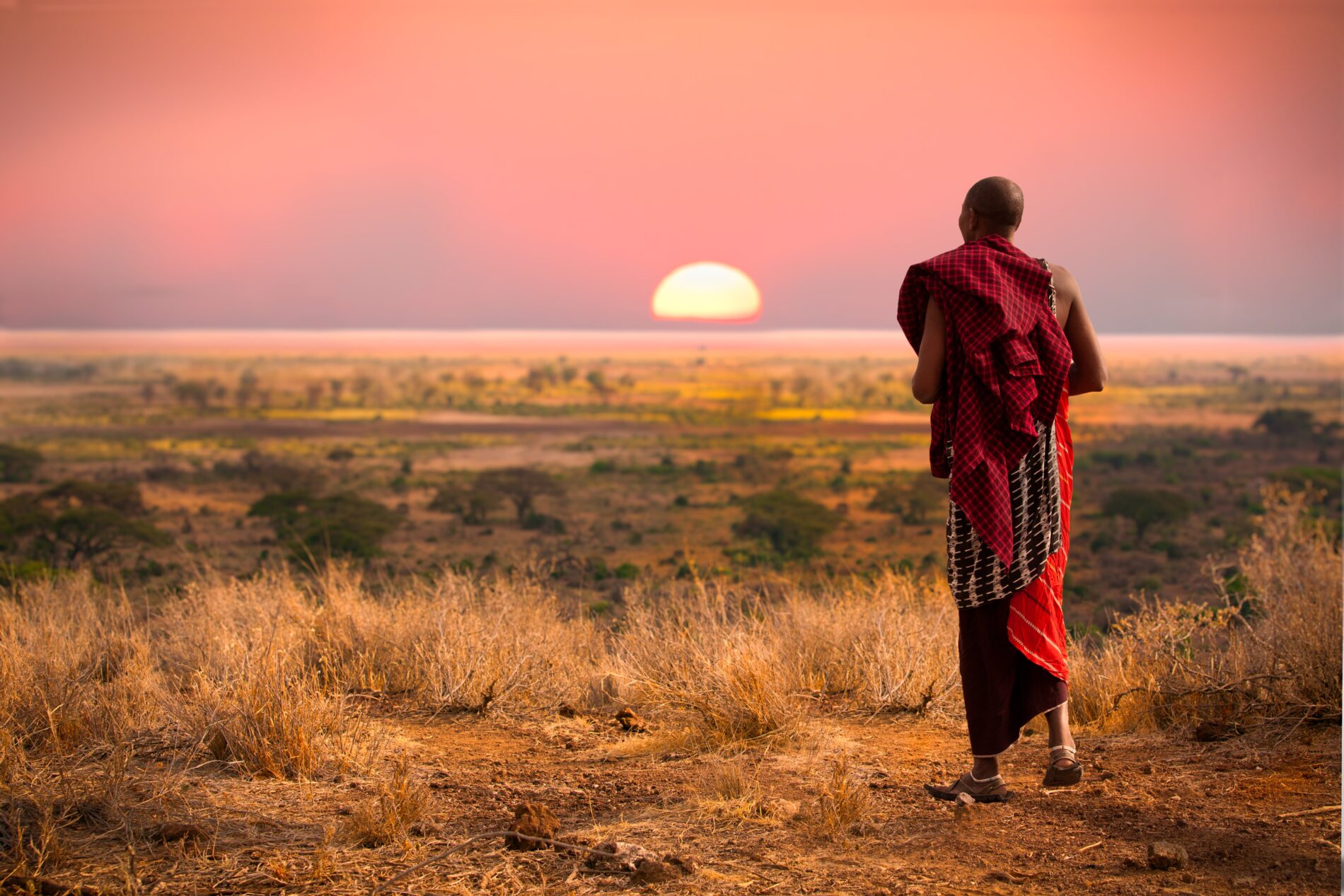 Masai Mara villager walking in the plains at sunset