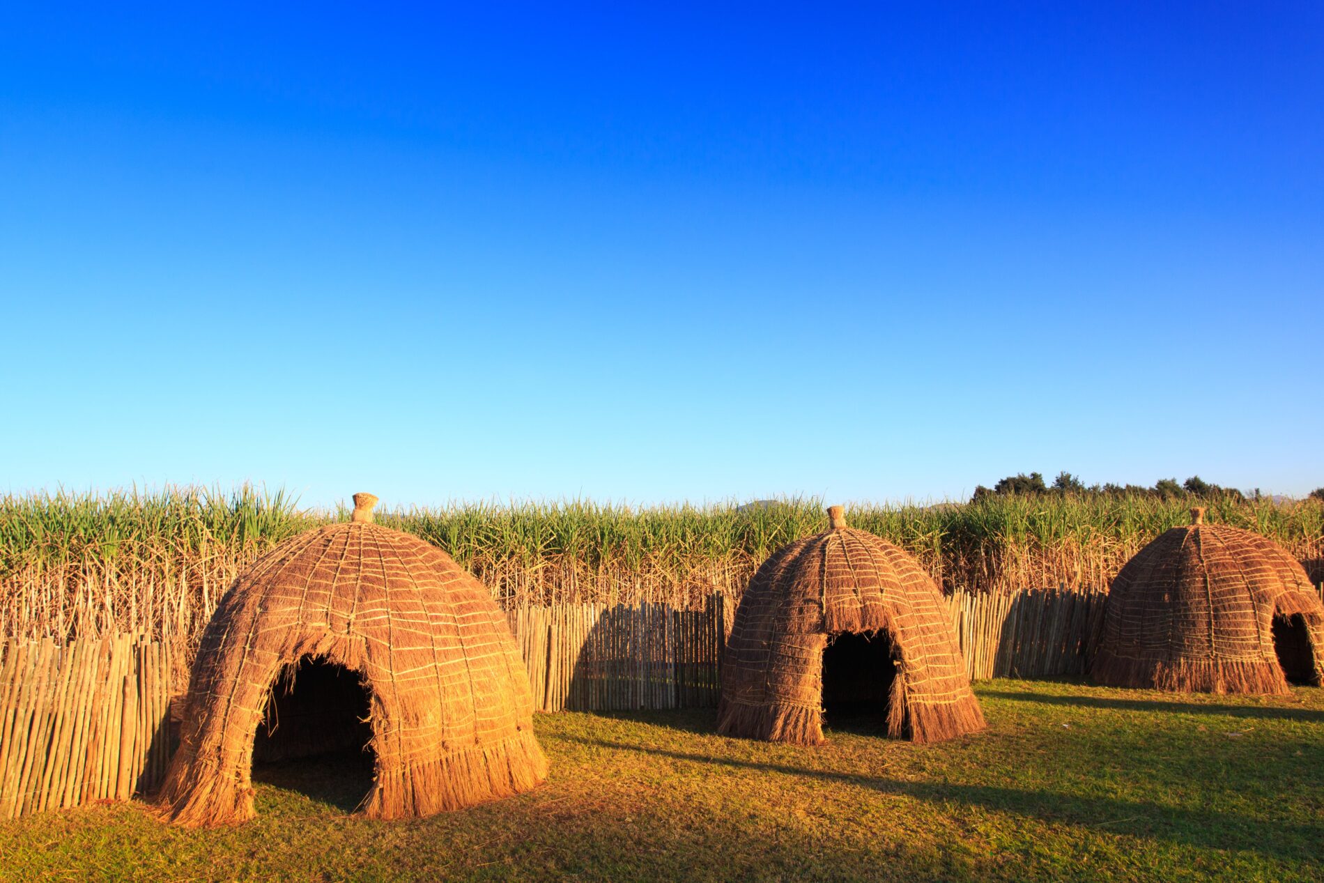 Mlilwane huts of Eswatini under clear skies