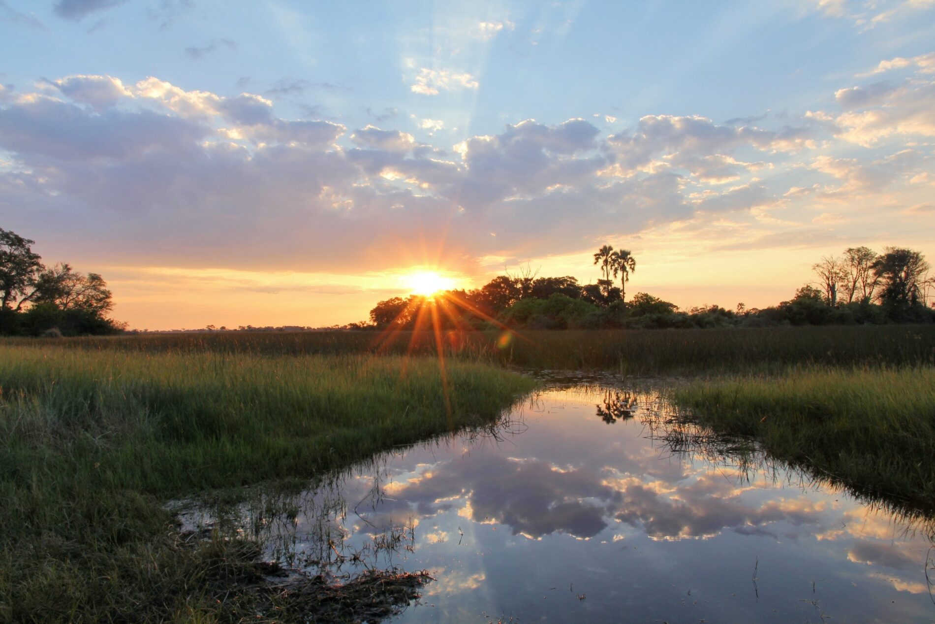 Okavango delta at sunset