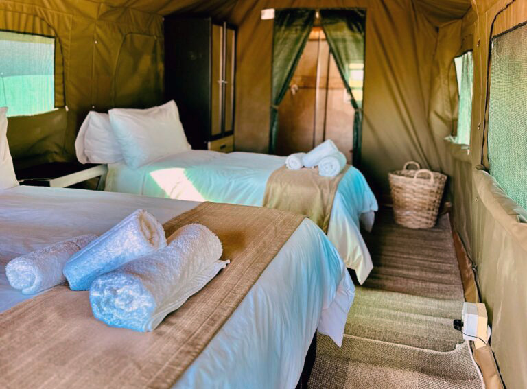 tented-camp-safari-pilanesberg
