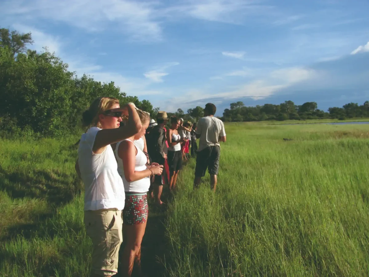 Okavango bush walk in vlei