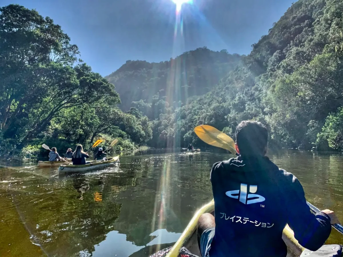 Travelers canoeing in river along Garden Route