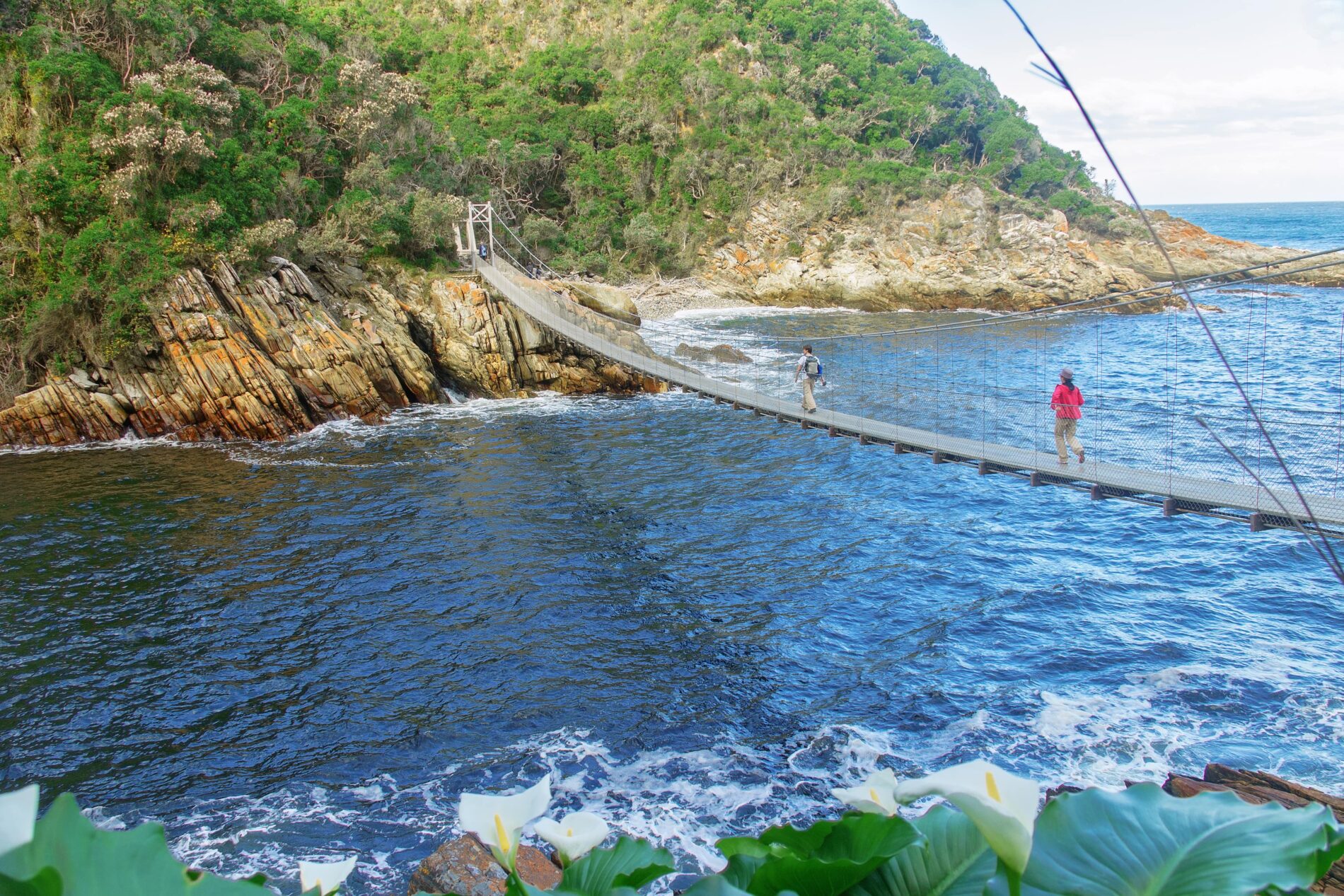 Tsitsikamma National Park Storms River bridge