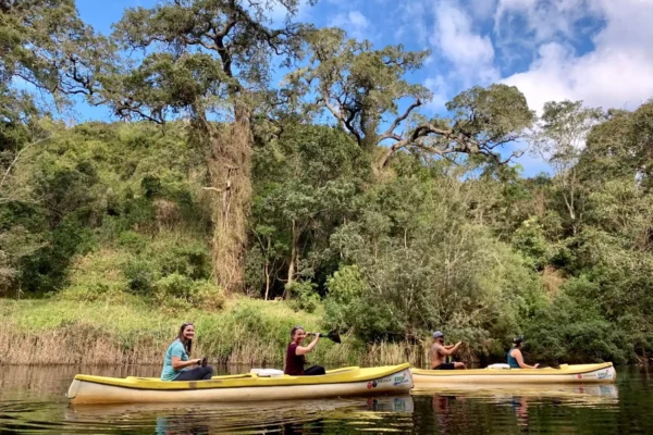 Travelers canoeing along Garden Route ebb and flow