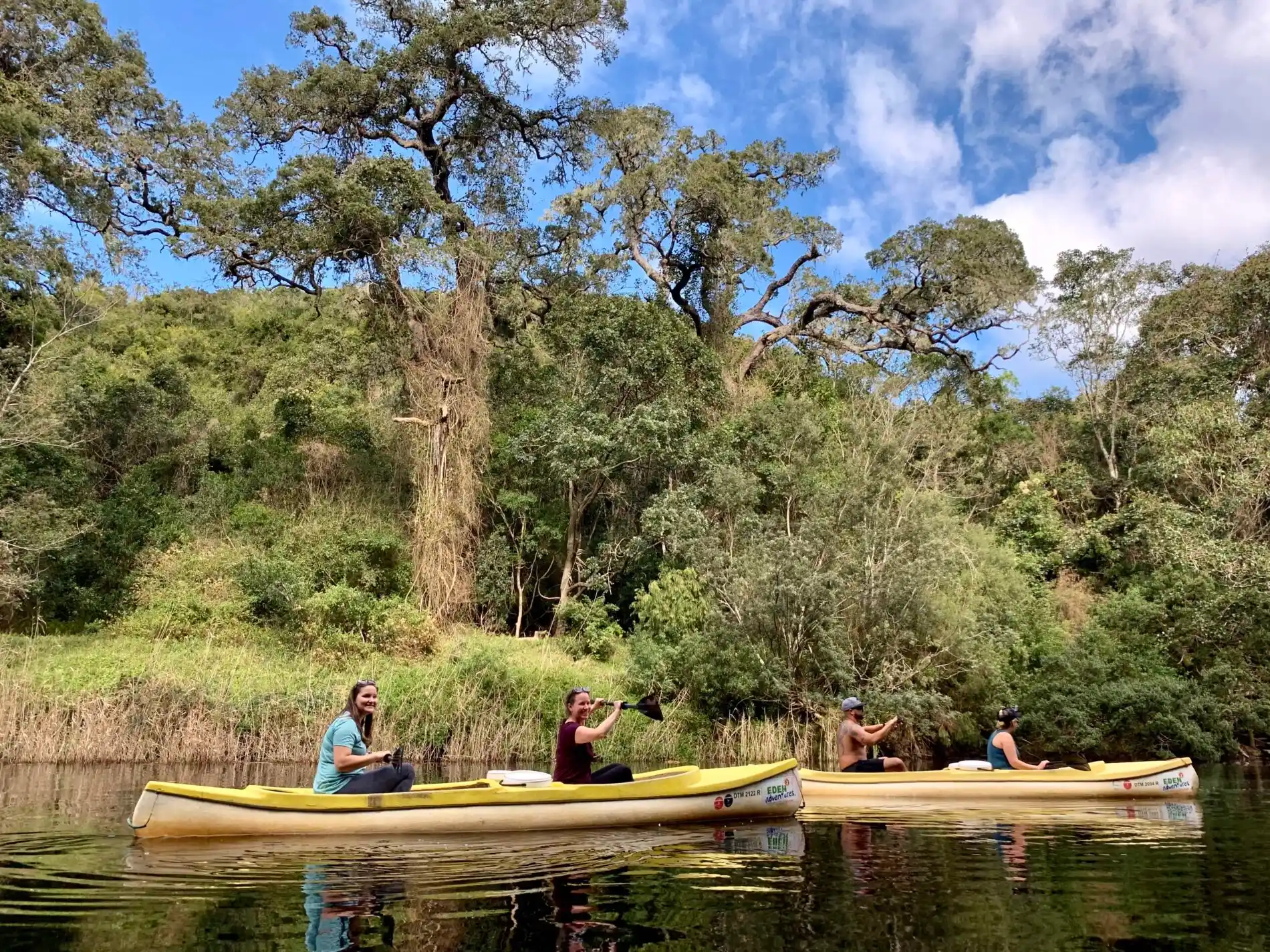 Travelers canoeing along Garden Route ebb and flow