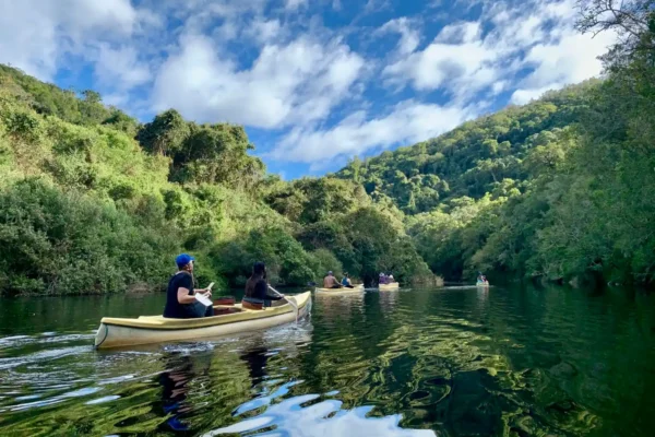 4 partners canoeing in Wilderness