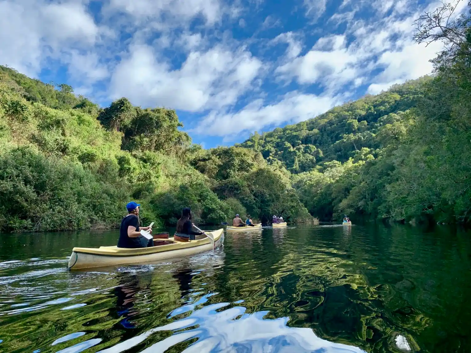 4 partners canoeing in Wilderness