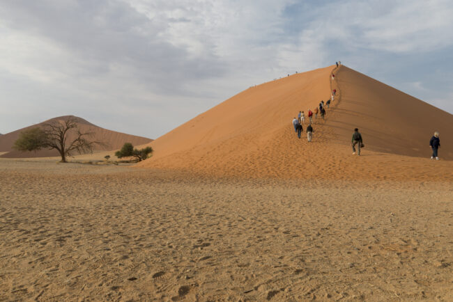 Group climbing Dune 45
