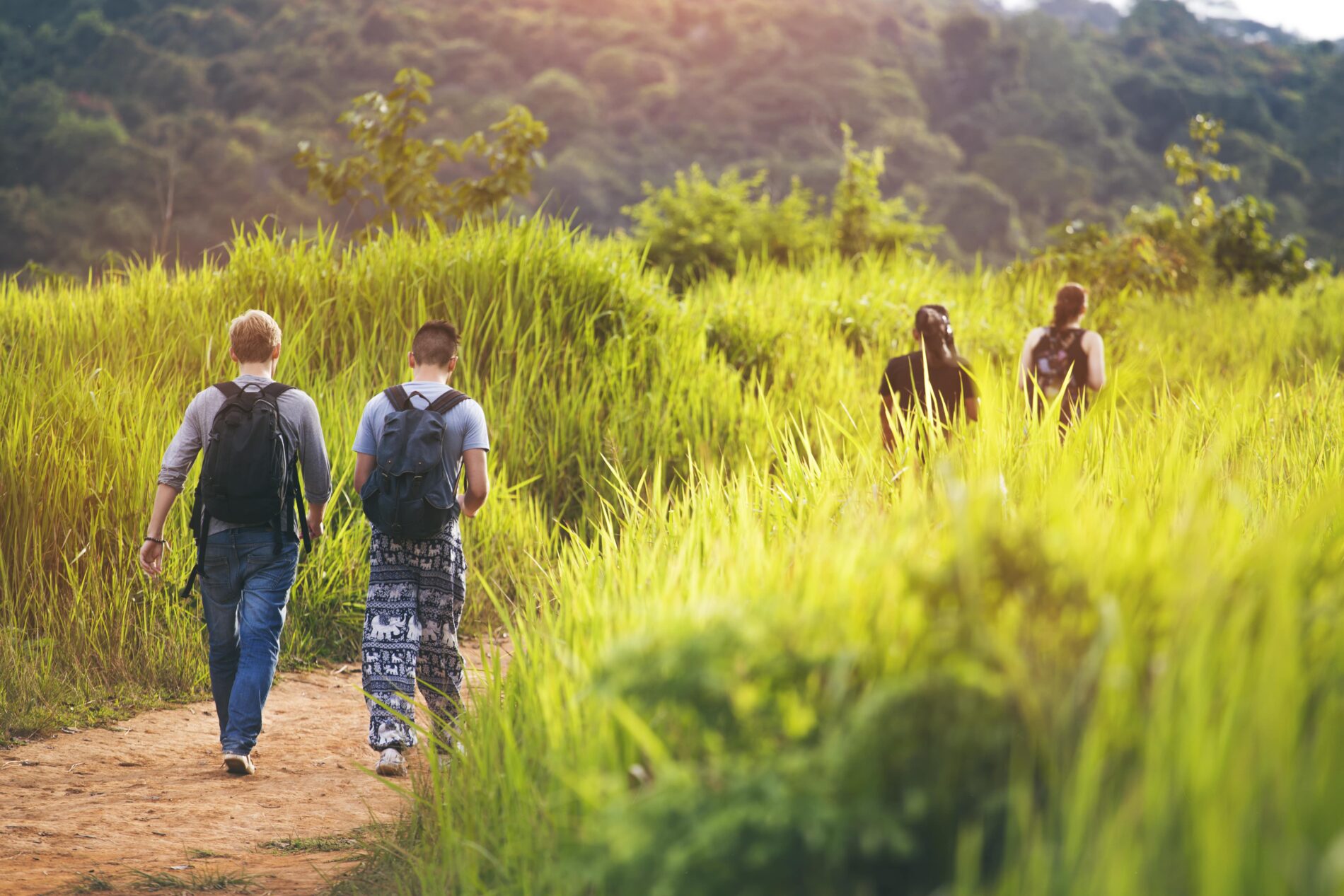 Group of friends walking with backpacks whilst on a bush walk in lush green vegetation