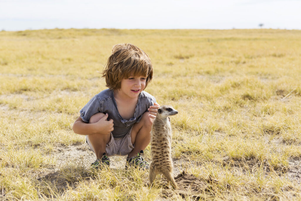 5 year old boy up close and personal with Meerkat, Kalahari Desert, Makgadikgadi Salt Pans, Botswana