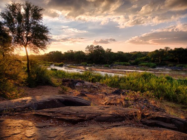 River running through bushveld in Kruger national park landscape.