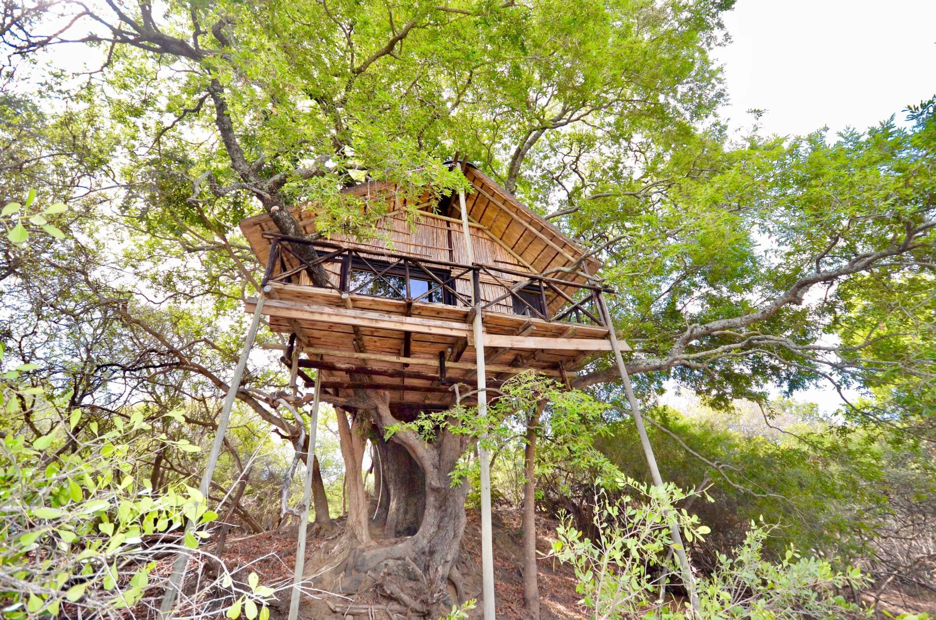 view of a wooden tree house in the bush