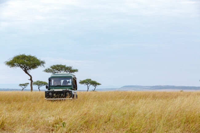 Safari tourist game drive vehicle parked in the grasslands of Kenya, Africa with Acacia trees and copy space in open sky
