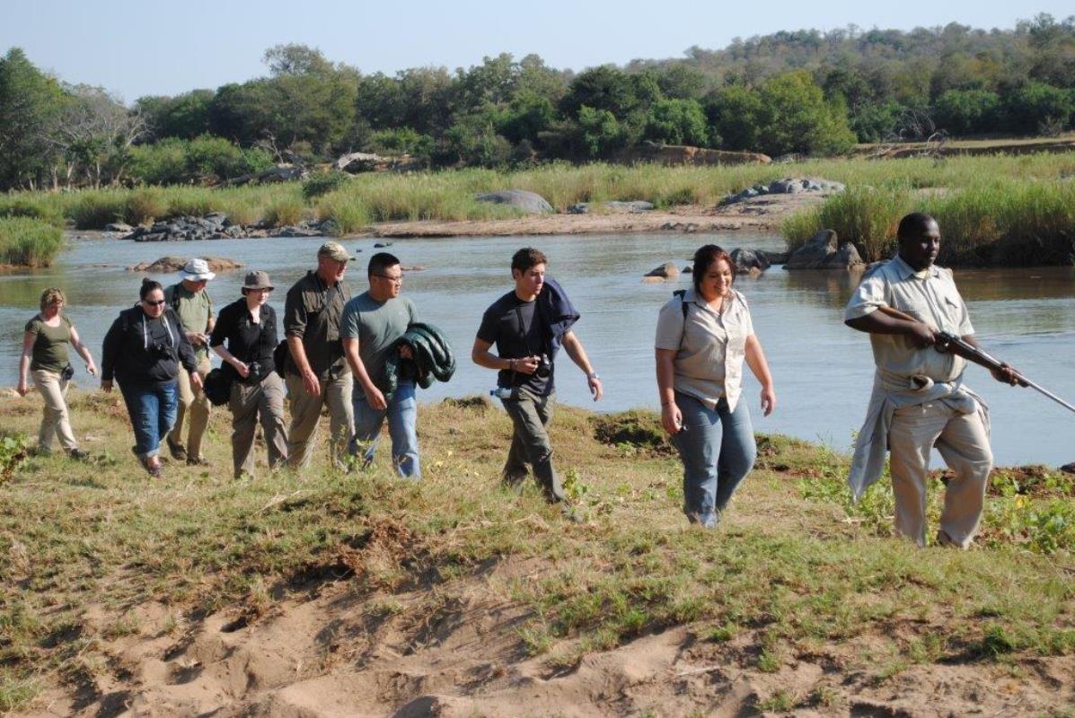 Armed ranger leading group on a bush walk in Kruger