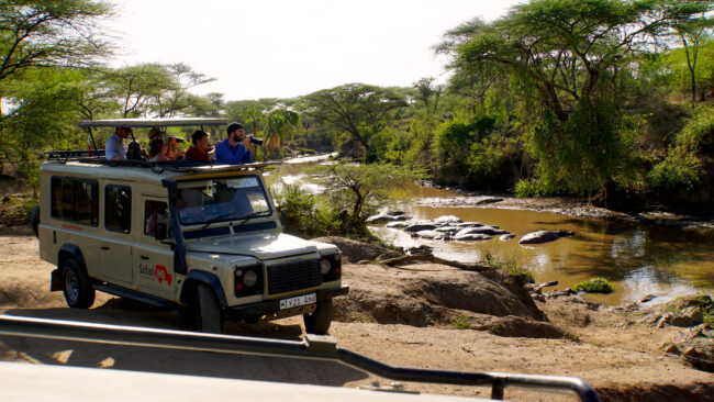 tourists standing up in a safari vehicle on a tour taking photographs