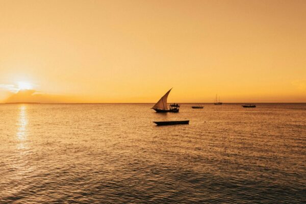 Dhow boats sale across calm ocean at sunset.