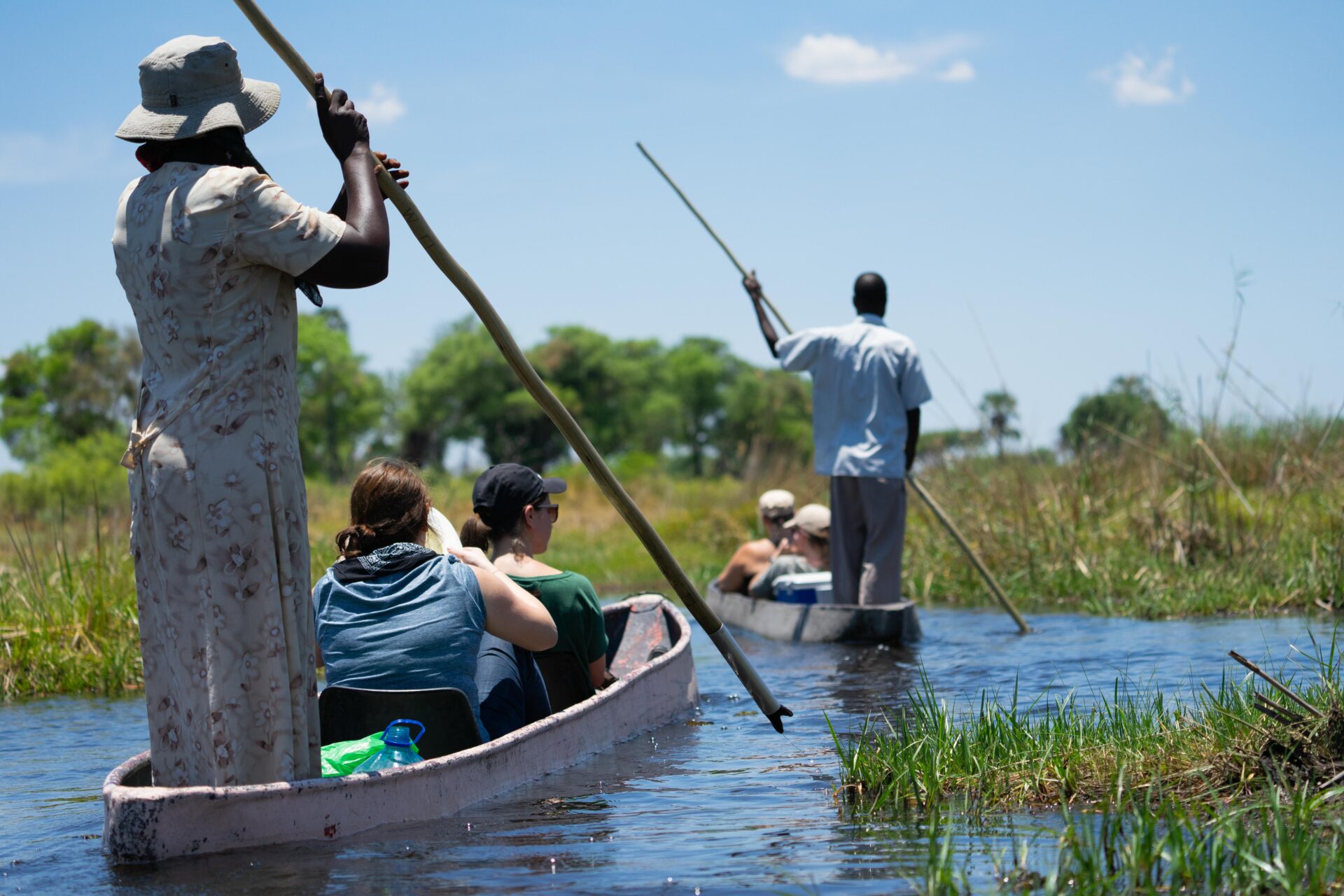 Polers take tourists through Okavango waterways on mokoros.