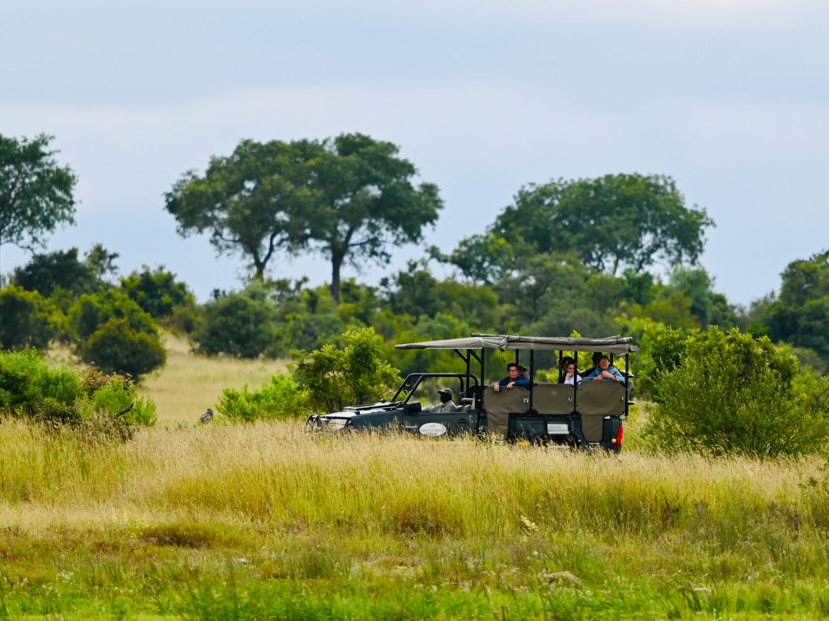 Group of people game driving through African bushveld in safari vehicle.