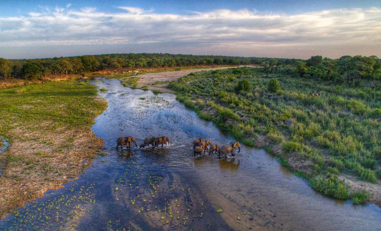 long distance image of elephants crossing a river