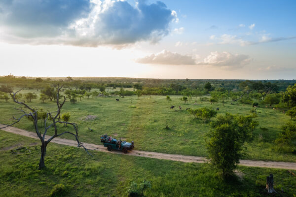 aerial view of a safari vehicle on a game drive