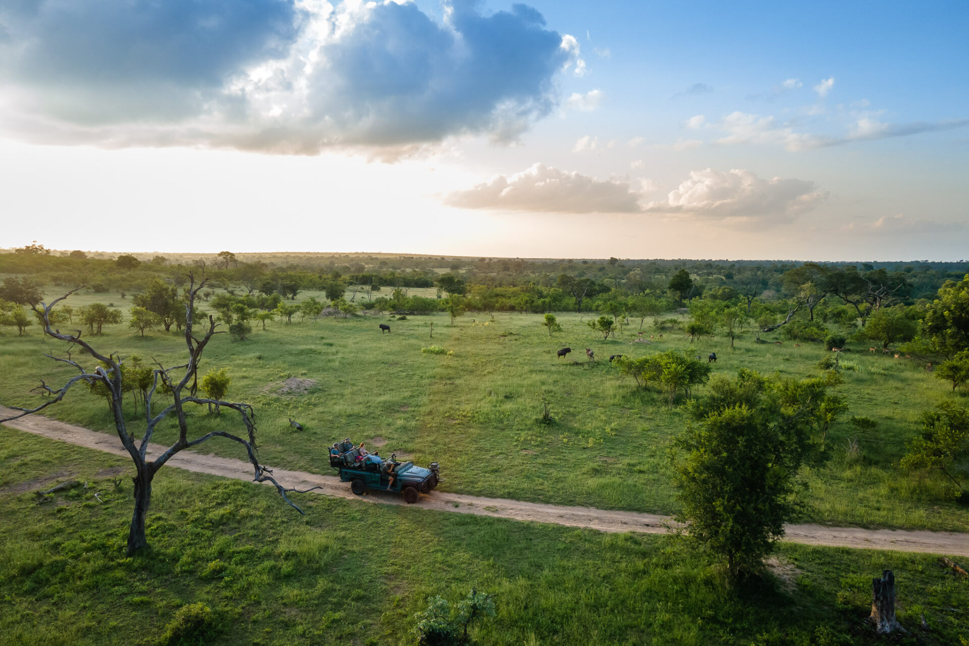 aerial view of a safari vehicle on a game drive