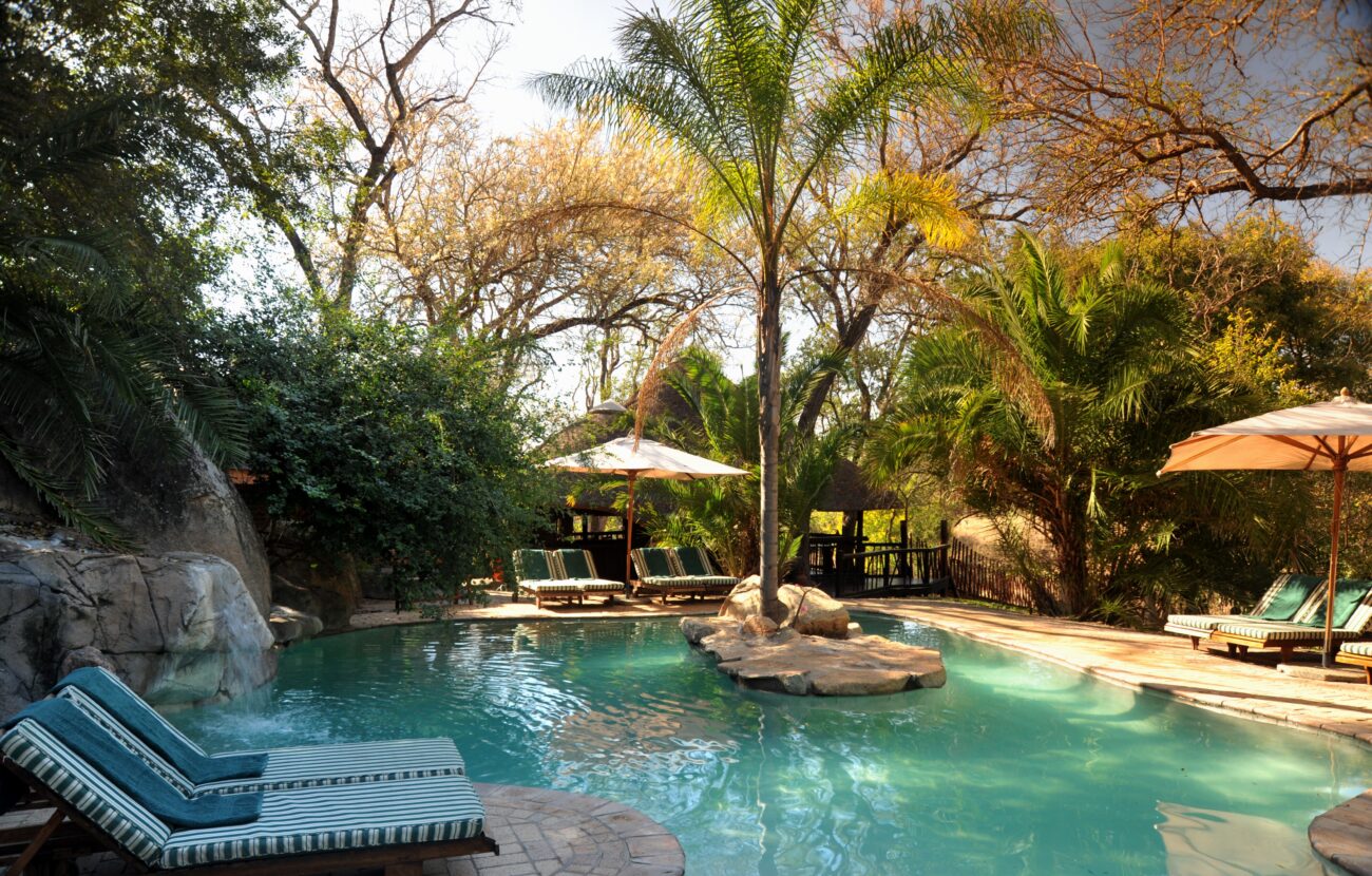 swimming pool at a lodge with sun chairs and a tree in the middle of the pool