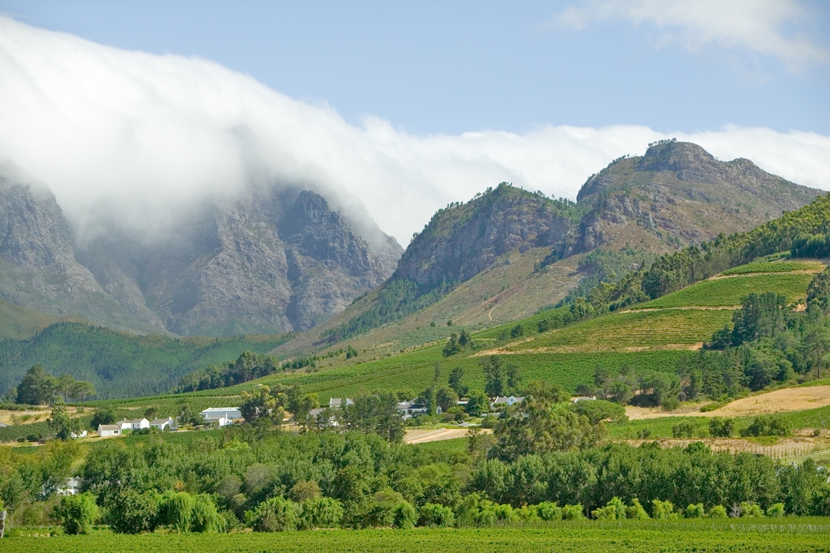 winelands with mountains and clouds in background